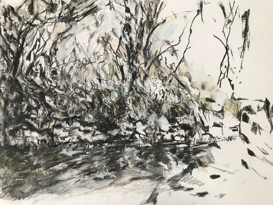 A Saltmarsh Collaboration