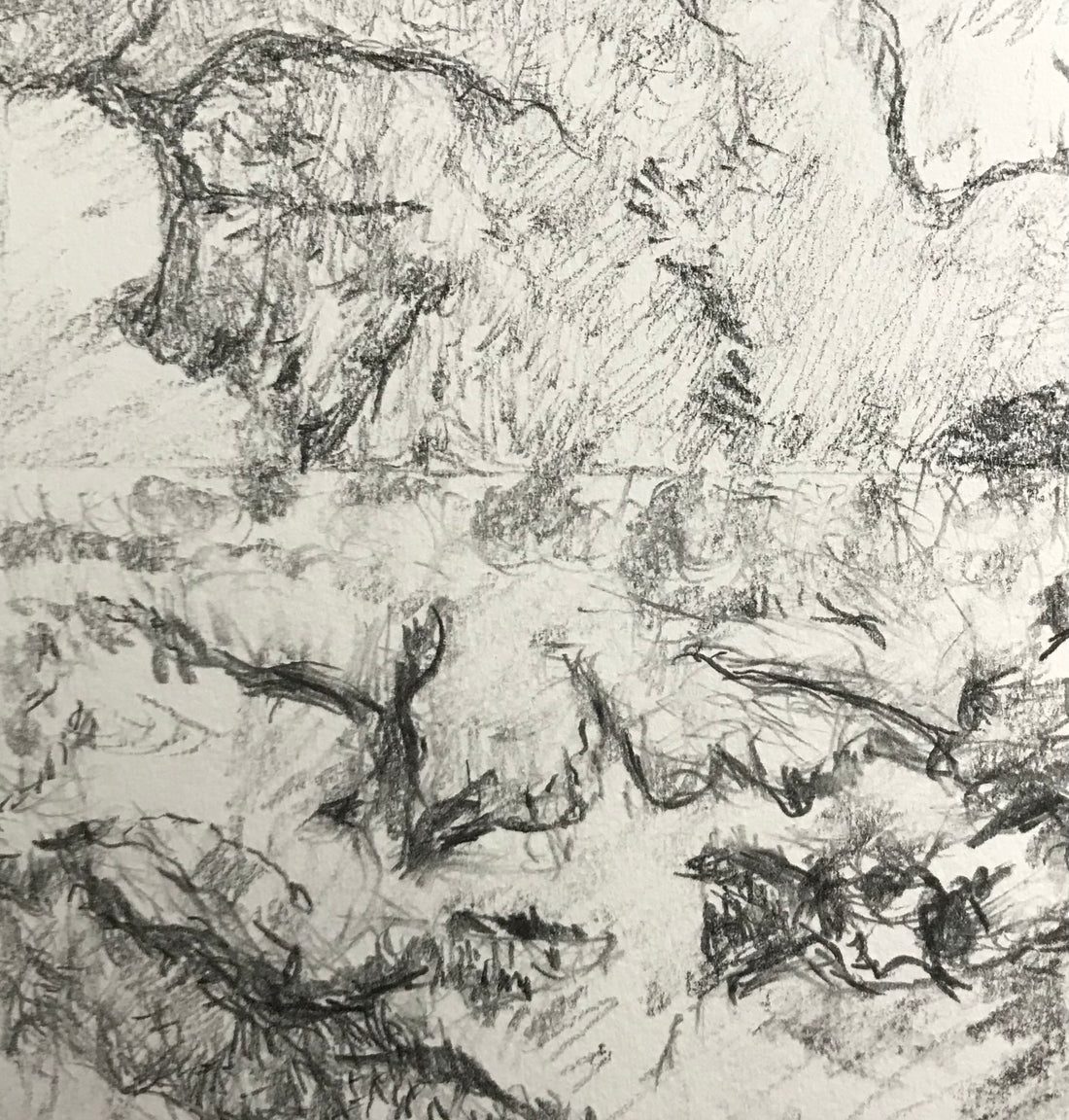 A Saltmarsh Collaboration