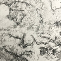 A Saltmarsh Collaboration