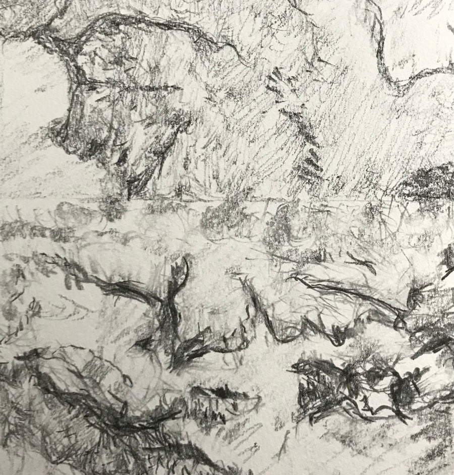 A Saltmarsh Collaboration