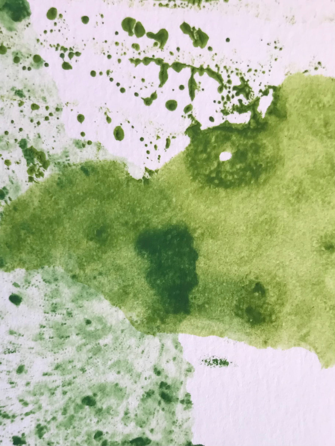 A Saltmarsh Collaboration