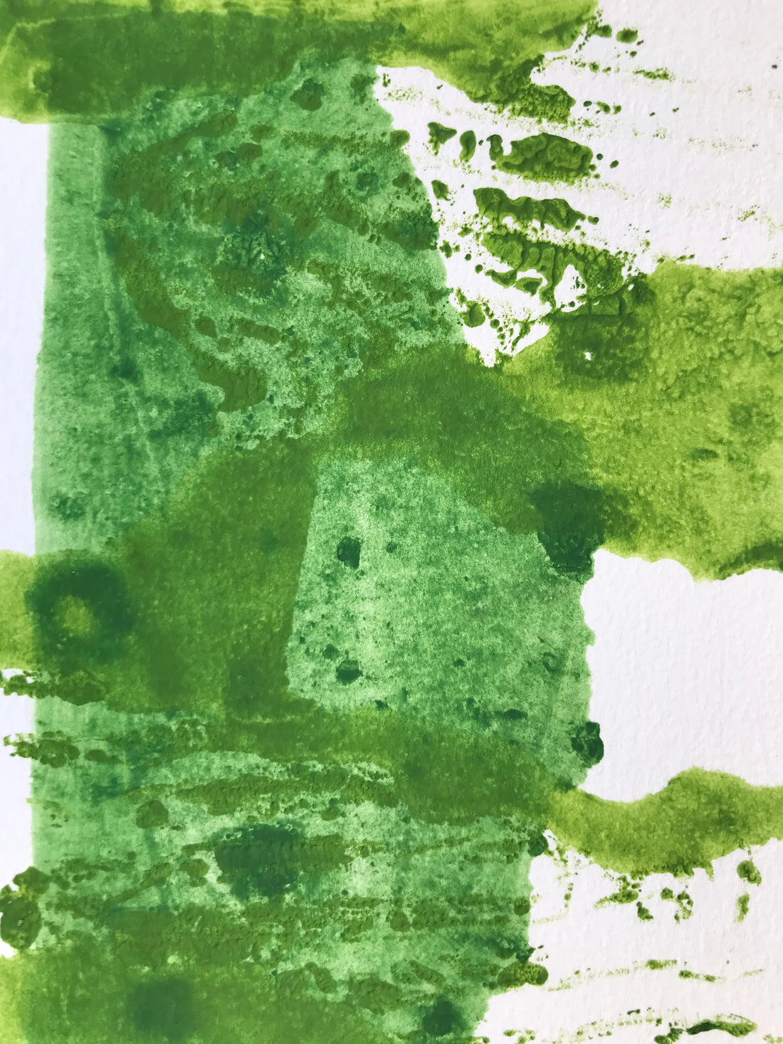 A Saltmarsh Collaboration