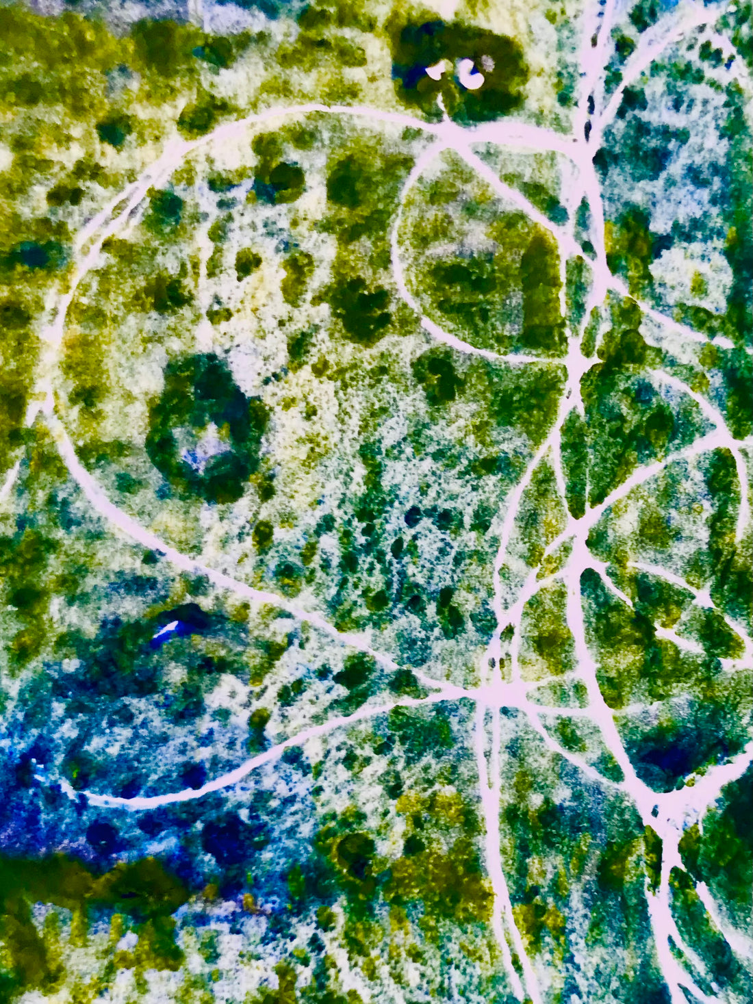 A Saltmarsh Collaboration