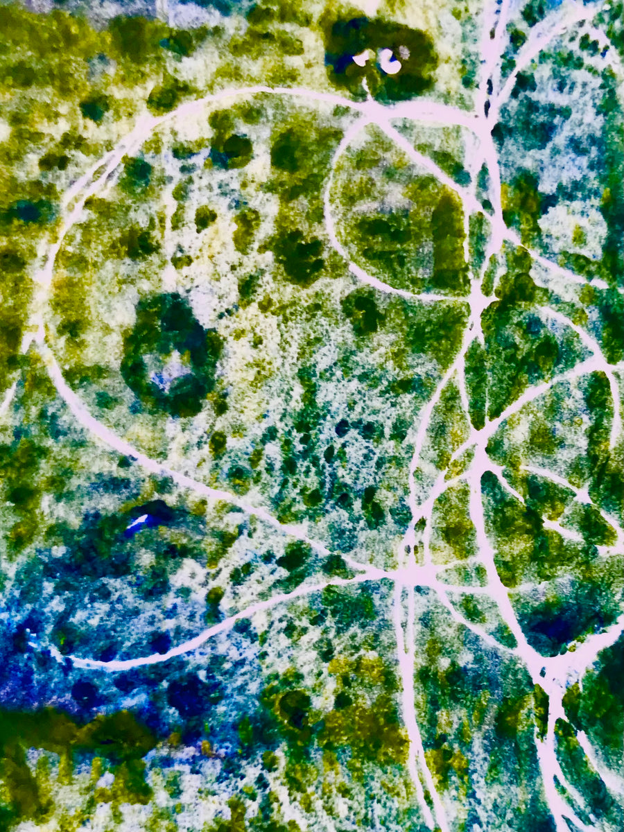 A Saltmarsh Collaboration