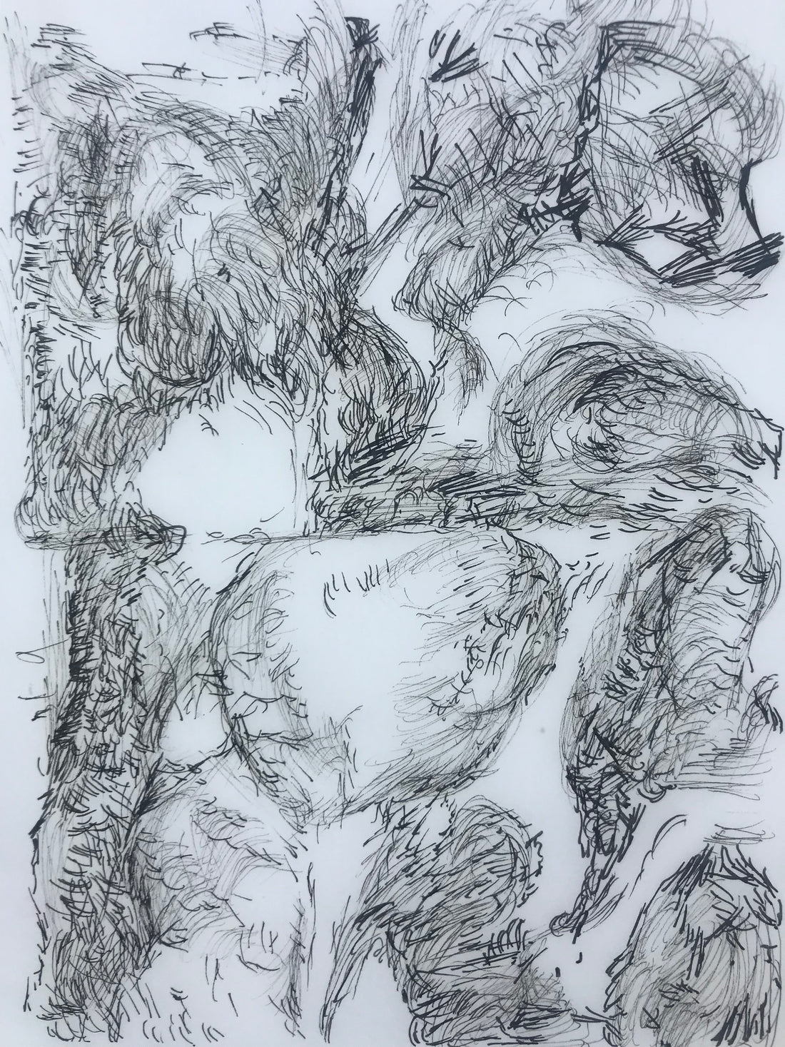 A Saltmarsh Collaboration