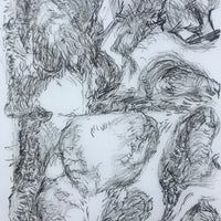 A Saltmarsh Collaboration