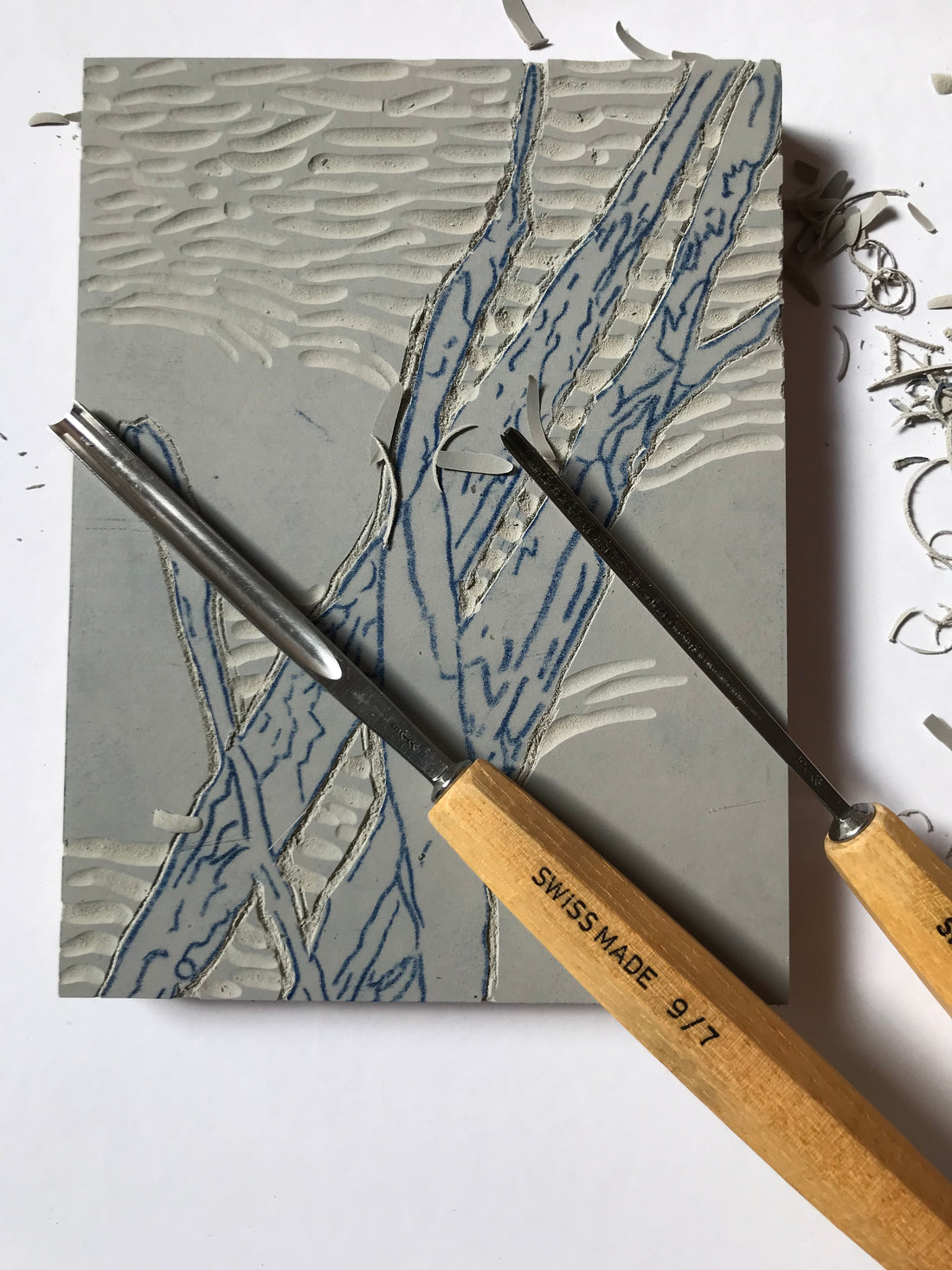Reedbeds on Kozo