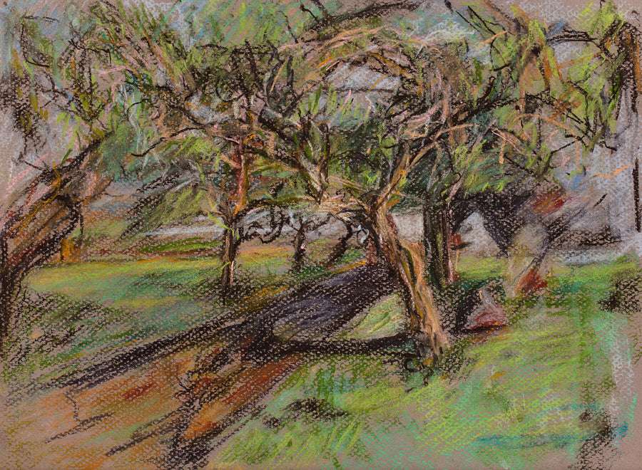 “Medlars in Spring” St. Mary’s, Totnes. | Ivan Grieve artist | Originals, Prints & Limited Edition Art