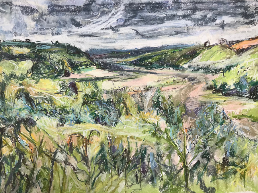 “Sharpham to Totnes” , Summer.