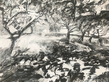 “Medlar Shadows”, St.Mary’s, Totnes.