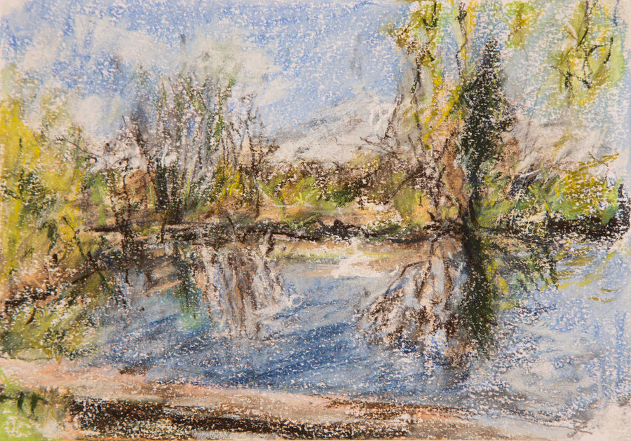 “Spring at the swimming platform”, Dartington.