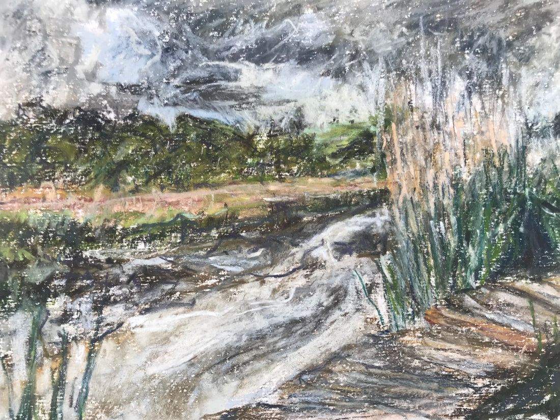 “Rain in May” Sharpham Marsh.