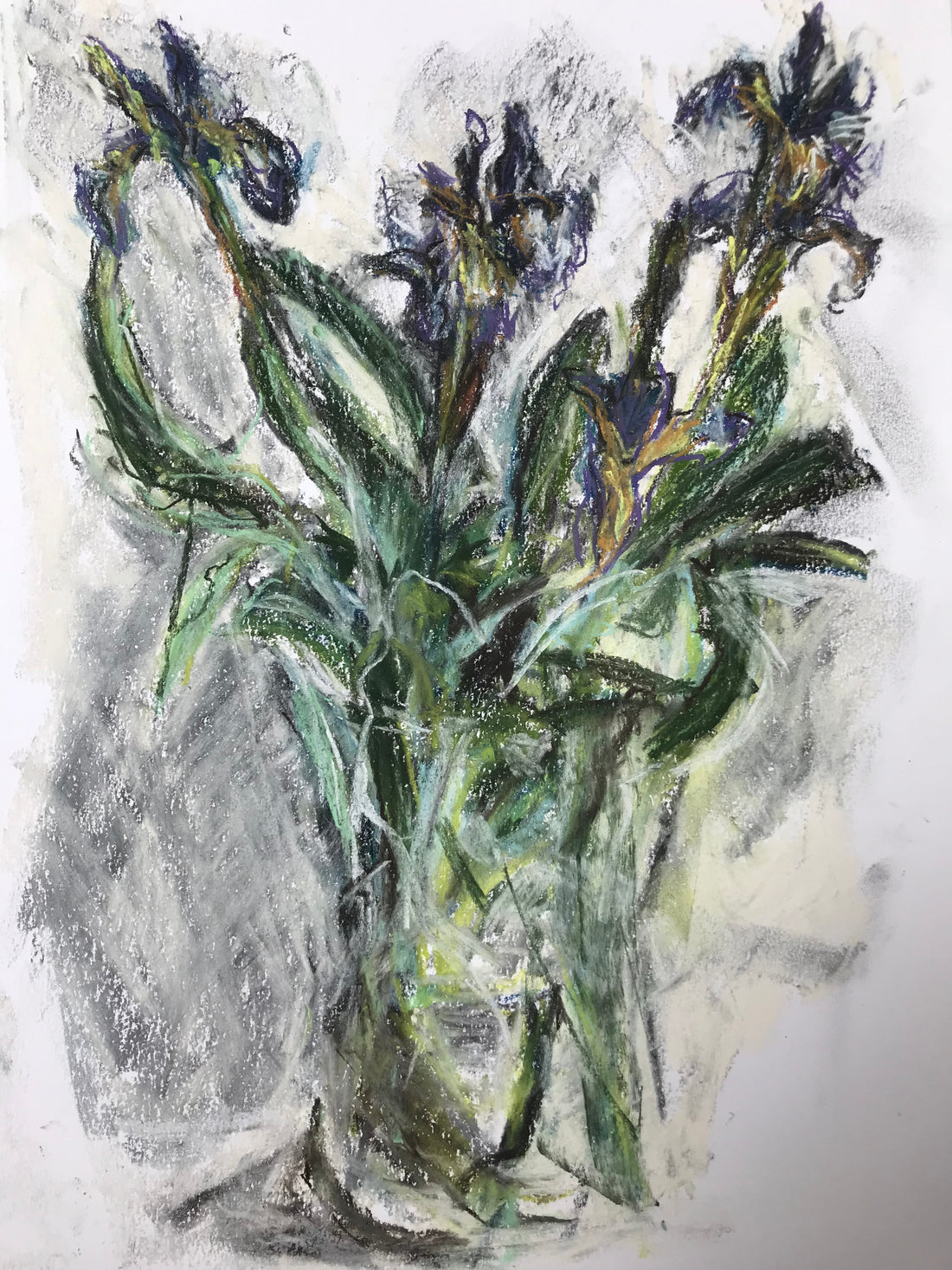 “Salvia and Siberian Iris”.