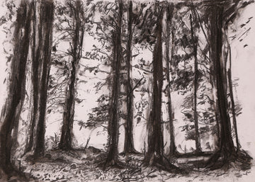 "Eleven Trees", Dartington Estate. | Ivan Grieve artist | Originals, Prints & Limited Edition Art