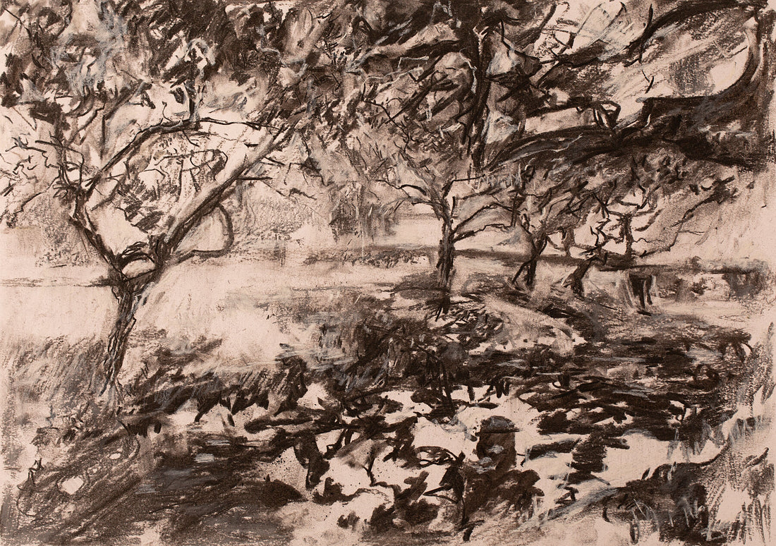 “Medlar Shadows”, St.Mary’s, Totnes.