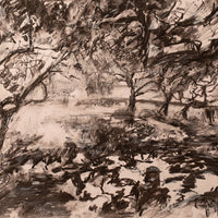 “Medlar Shadows”, St.Mary’s, Totnes.